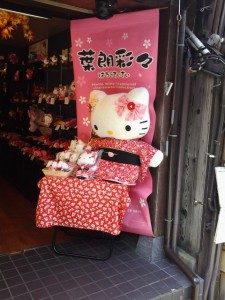 Kitty rocking the traditional fashion in Nara, Japan