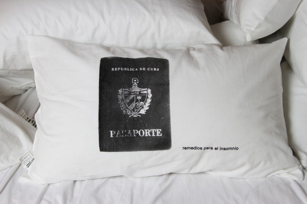 Remedies for Insomnia passport