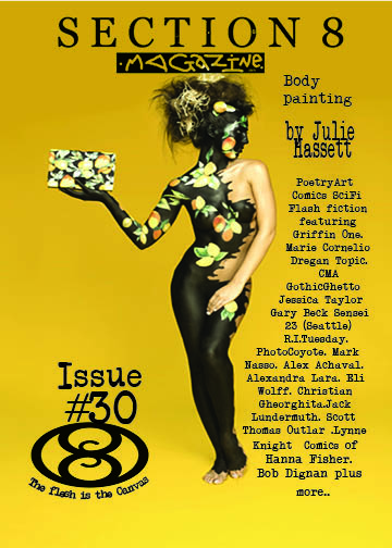 Cover of Issue #30