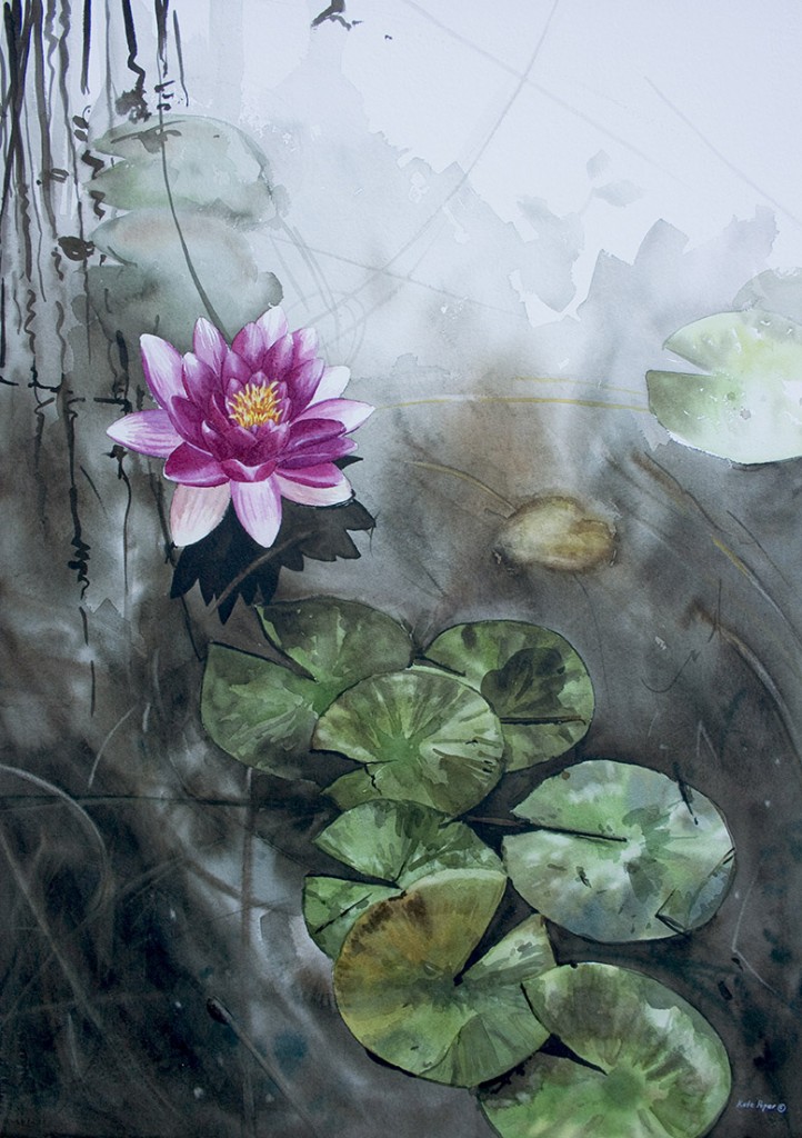 Pink Water Lily by Peper