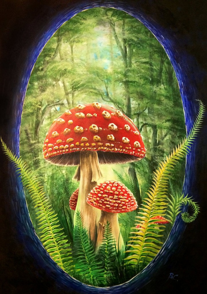 club_muscaria_painting_by_bccreativity-d7j0z25