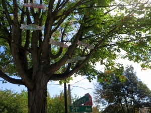 tree fish